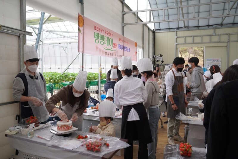 천안시 "베리 베리 빵빵데이, 지역경제 활성화 기여"