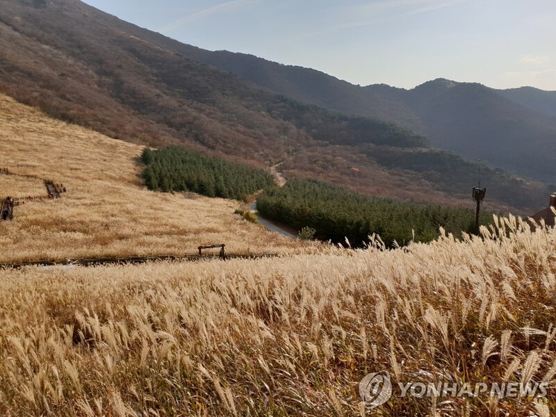 울주 삼동면 일대 '울산 알프스 관광단지'로 만든다