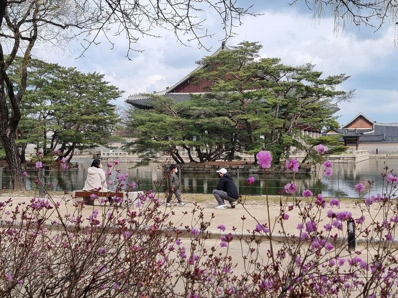 3년만에 열린 벚꽃길·버스킹…불안 속 '일상회복' 시동(종합)