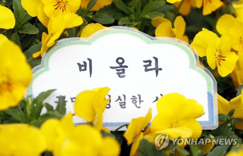 '꽃향기가 흐르는 평창 방림'…국토공원화사업 본격 추진