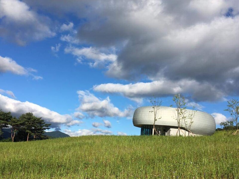 동해안 산불 피해지 금강송 등 식물 종자 영구 보존
