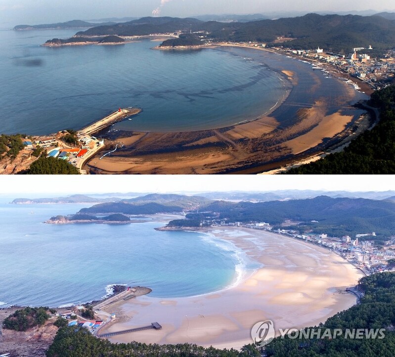 '123만 자원봉사의 기적' 세계인의 유산 반열 오르나