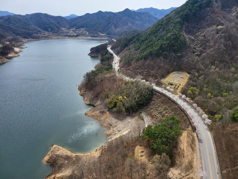 [픽! 김천] 부항댐 벚꽃길, 드라이브·산책 명소 떠올라
