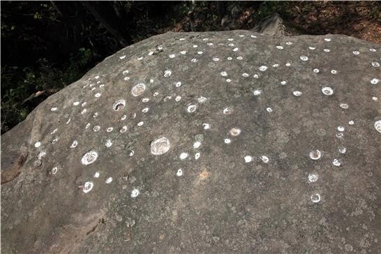 하동 옥종서 선사시대 예술 '성혈' 유적 발견