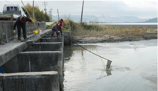 [K-Geography] People catching snake eels