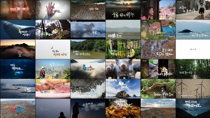 8년 만에 돌아온 '환경스페셜' 14일 종영