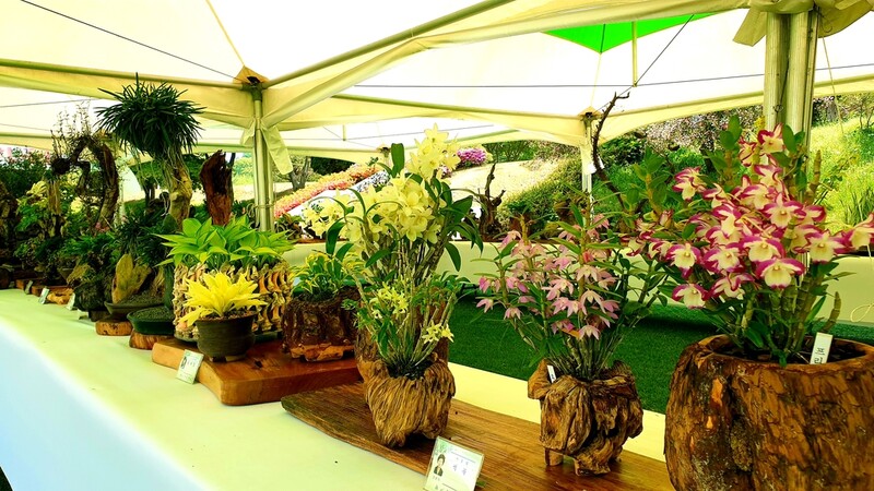 "이젠 포스트 오미크론" 충북 곳곳서 축제·행사 기지개