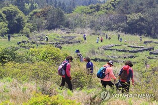 Jeju's 26th Hallasan Wild Bracken Festival to open on 23rd till 24th