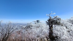[K-Geography] Hoarfrost-covered mountaintop