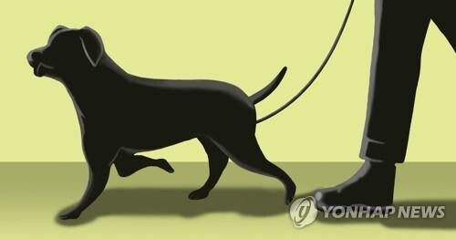 반려견이 무슨 죄?…3층 창밖으로 개 던진 50대 입건