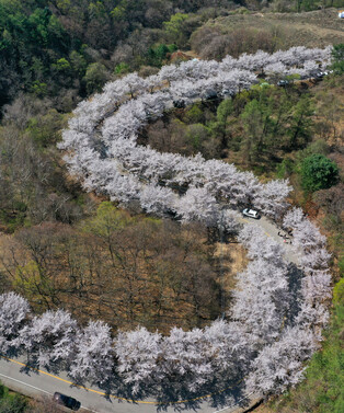 [K-Geography] Late gift from spring