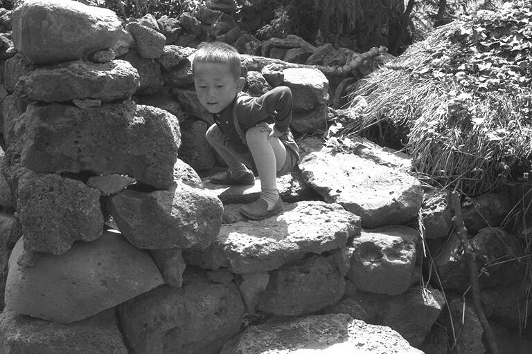 [다시! 제주문화] (33)"똥돼지가 더럽다고?…다 이유가 있었네!"