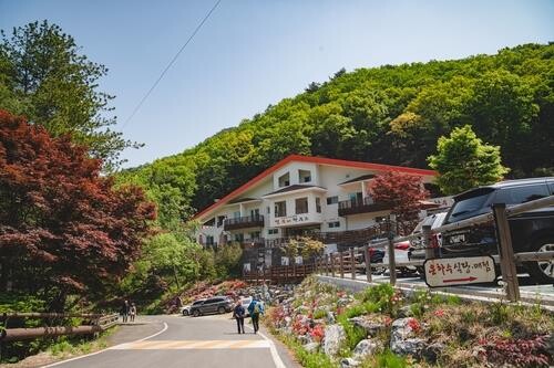 "거리두기 끝…숲여행 가볼까" 자연휴양림은 벌써 '클릭 전쟁'