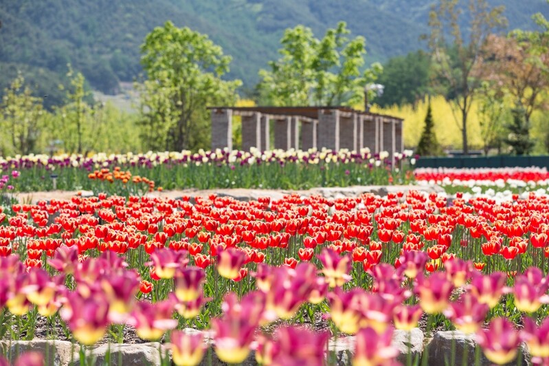 울진삼척 산불피해 주민·진화인력 백두대간수목원 무료 입장