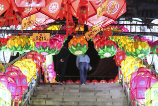 [K-Geography] Light lanterns for Buddha's Birthday