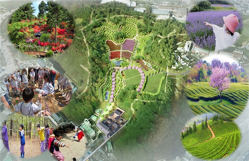 삼척향교 전통문화체험 숲에 누각·연못·녹차밭 조성