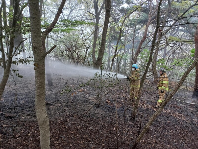 강화도 광성보 인근 야산서 불…문화재 피해 없어