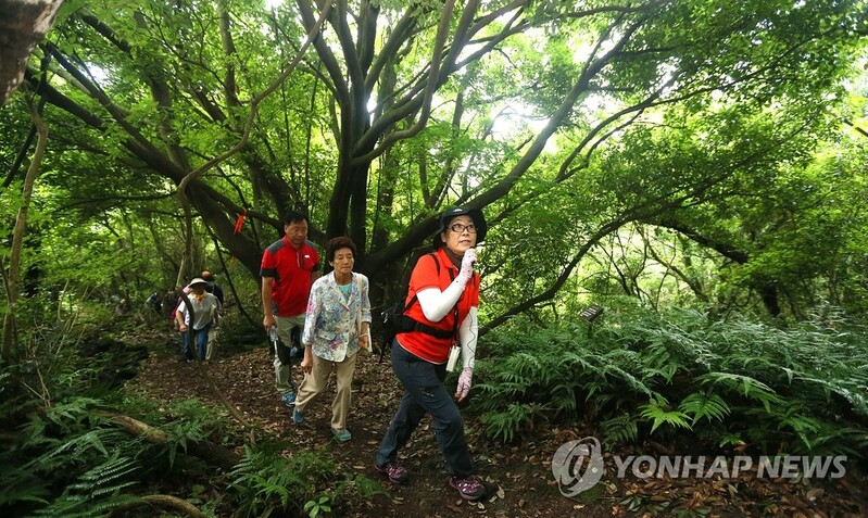 젊은 여행자들 곶자왈·원도심서 제주 보물 찾는다
