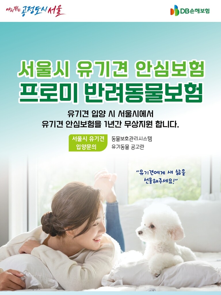 DB손보, 2년 연속 '서울시 유기동물 안심보험 사업자' 선정