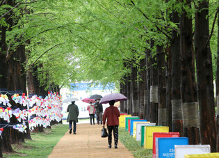 [K-Geography] Spring Rain