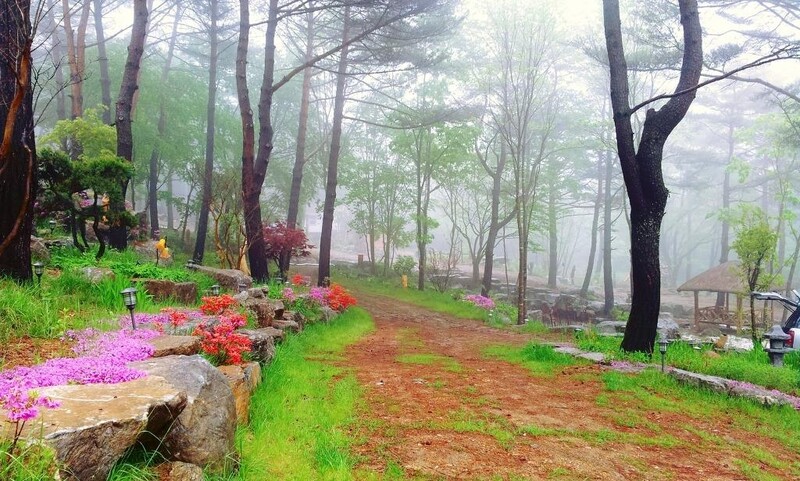 경남 민간정원 22곳 지역관광명소로 육성한다