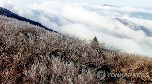 [K-Geography] Sanggodae in Deokyusan National Park