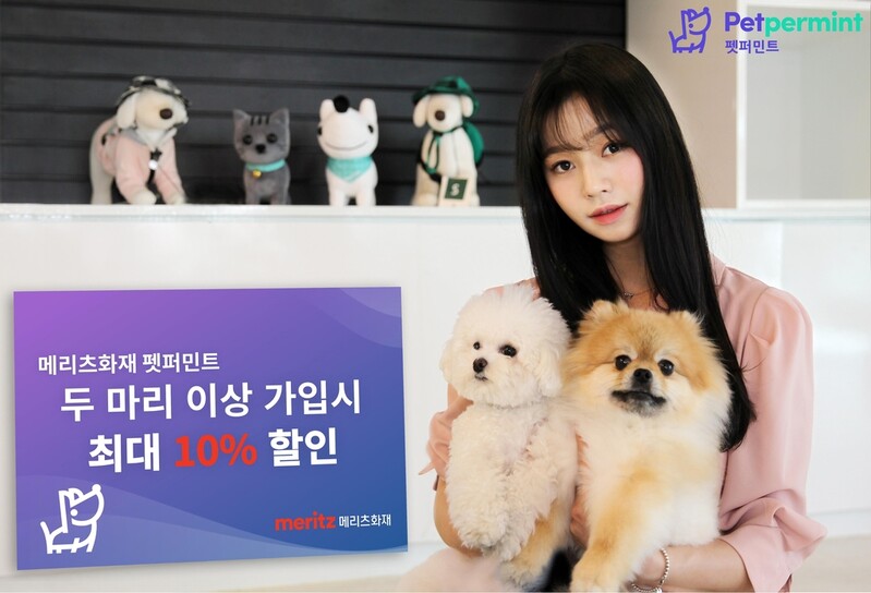 메리츠화재, 반려동물 2마리 이상 가입시 최대 10% 할인