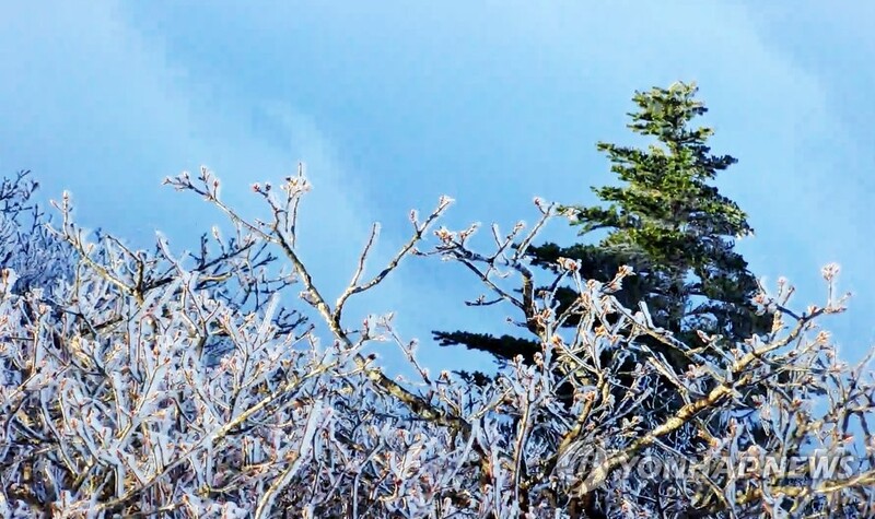[픽! 무주] "우와!" 5월에 핀 덕유산 향적봉 상고대