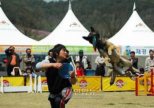 '충견의 고장' 임실서 5일 의견문화제 개막