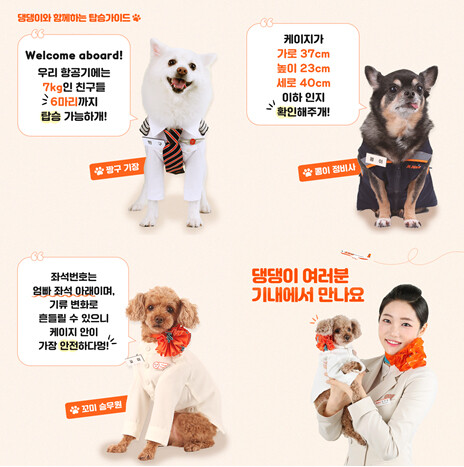 제주항공 "1~4월 항공기 탑승 반려동물 7천894마리"