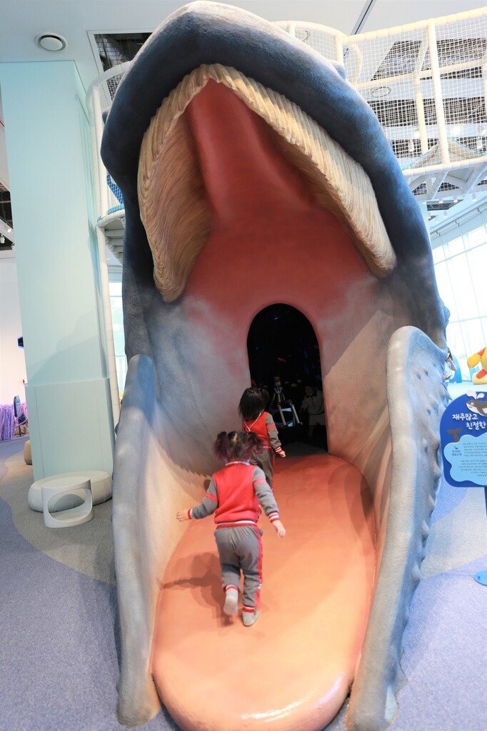 국립해양생물자원관 내 어린이 공간 '바다마을 고래고래' 개관