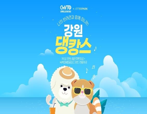 "강원도로 '댕캉스' 오세요" 반려견 동반 관광상품 판매 개시