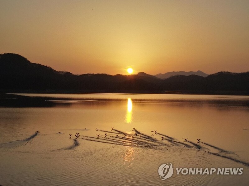 코로나19로 2년간 열지 못한 횡성호수길 축제 9월 개최
