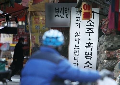 S. Korea extends mandate of dog meat task force