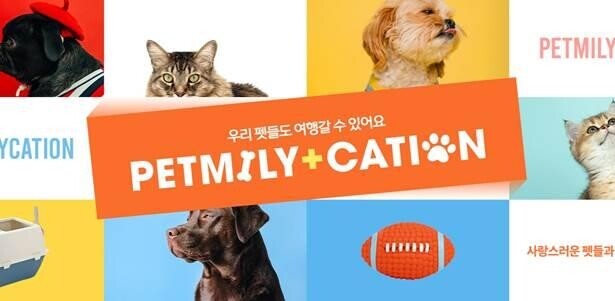 "반려동물도 환영해요"…티몬, 반려동물 동반 여행상품 프로모션