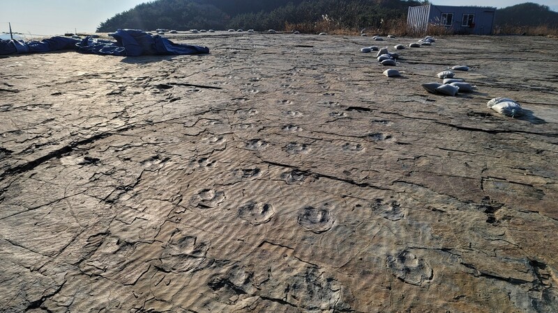 경남 고성 삼락리·함안 사촌리 공룡발자국, 도 기념물 지정예고