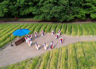 [K-Geography]  Korean traditional road play