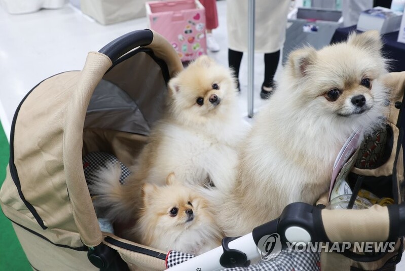 농관원, 반려인과 함께 반려동물 사료 안전관리 방안 모색