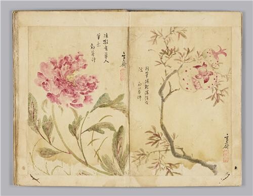 [문화소식] 국립춘천박물관 '안녕 모란' 특별전 개막