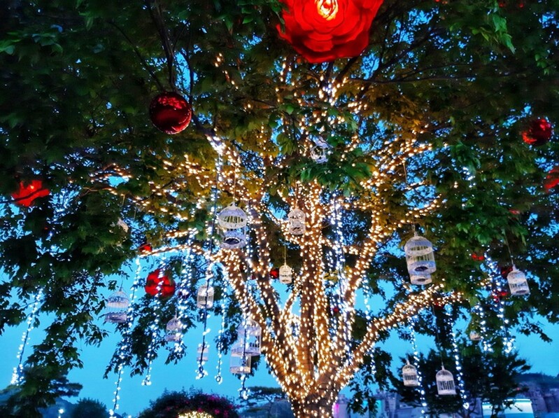 '빛의 향연' 삼척장미공원 20일 야간 개장