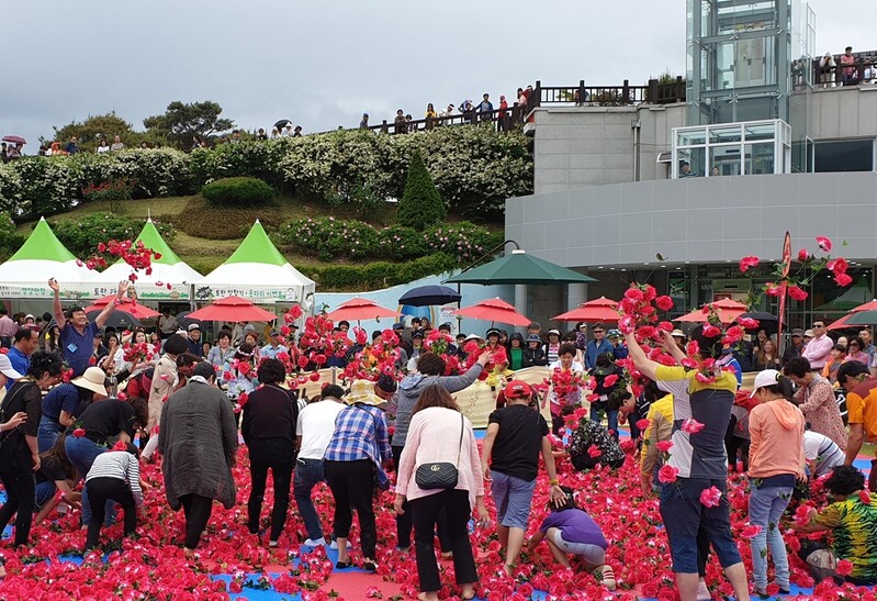 곡성 세계장미축제장서  '황금장미, 1돈을 찾아라'