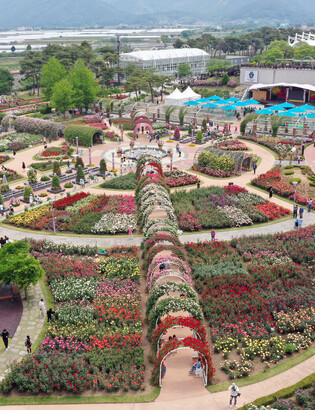 [K-Geography] Rose fest to reopen