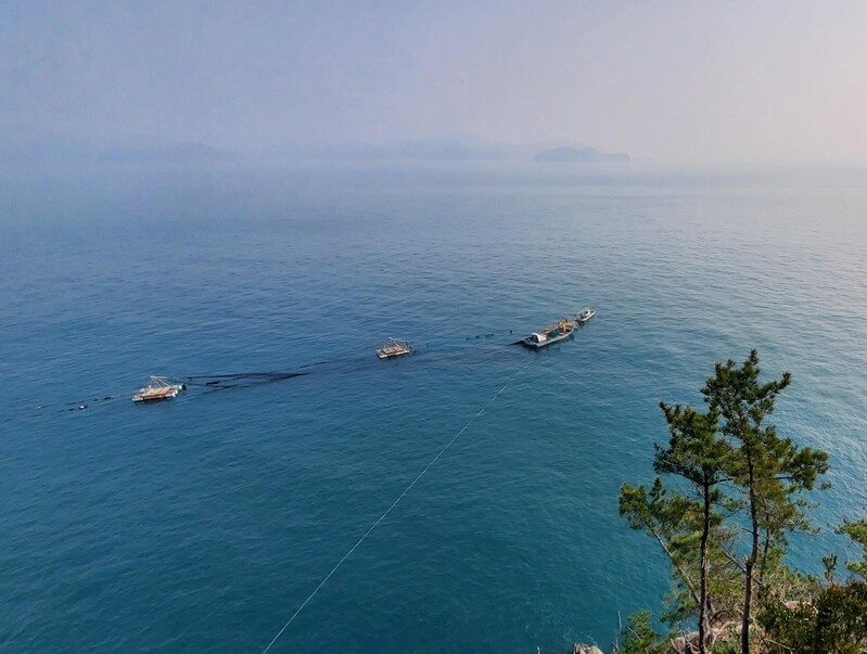 거제 전통어법 '숭어들망어업' 국가중요어업유산 지정 도전