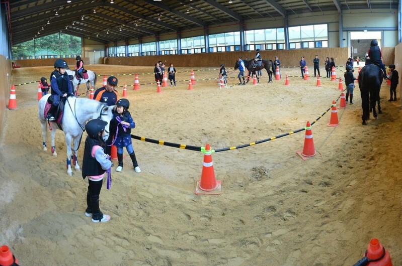 순창군 공공승마장 2년만에 재개장…체험용 말 9마리 보유