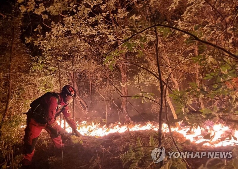 Miryang wildfire continues for 3rd day, nearly 650 ha of woodland scorched