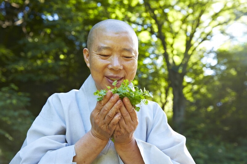 조계종 '사찰음식 명장'에 정관·우관스님 영예