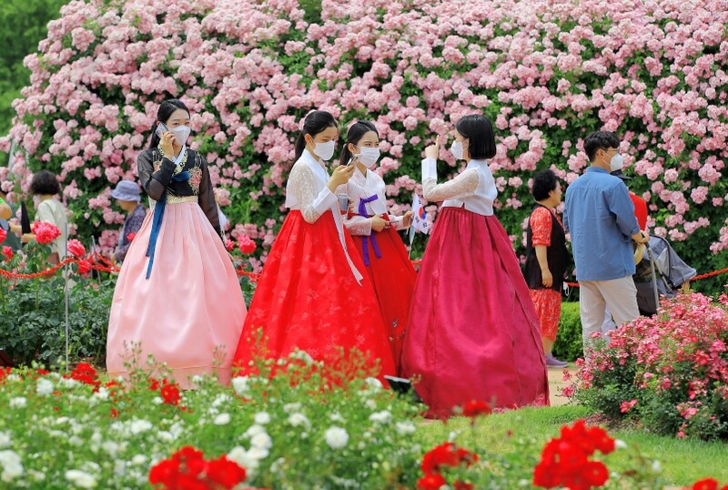 곡성세계장미축제 "28만명 홀렸다"…입장료 수익 12억원