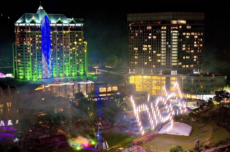 밤은 드론, 낮은 들꽃…하이원리조트 볼거리 풍성