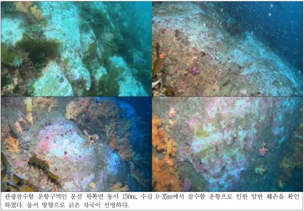 "관광 잠수함 운행으로 천연기념물 문섬 일대 수중 환경 훼손"