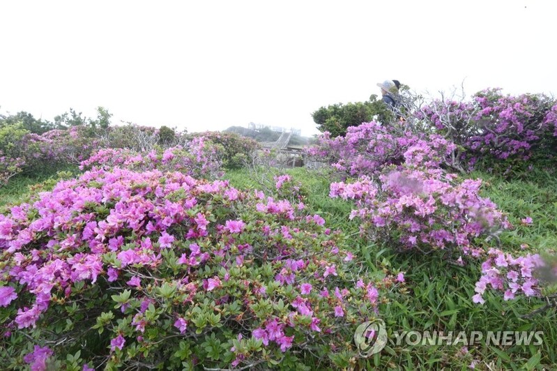 제주 대체로 맑음…낮 최고 23∼25도